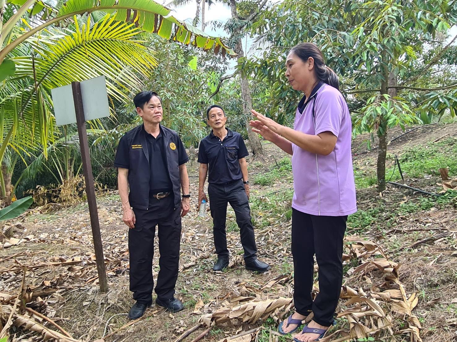 title - ผู้ตรวจราชการกรม ประชุมติดตามผลการดำเนินงานตามแผนการตรวจราชการของ ส.ป.ก. ประจำปีงบประมาณ พ.ศ. 2569 รอบที่ 1 จังหวัดประจวบคีรีขันธ์